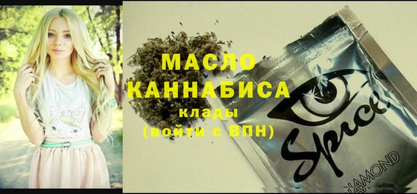 гидра Бородино