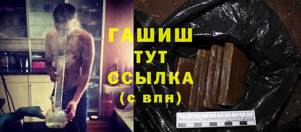 гидра Бородино