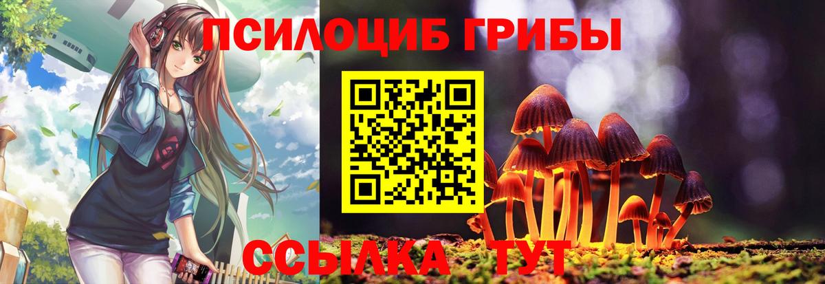 Псилоцибиновые грибы GOLDEN TEACHER Среднеуральск