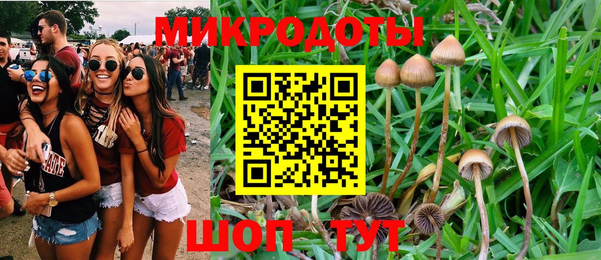 Среднеуральск  Псилоцибиновые грибы MAGIC MUSHROOMS  Вход с VPN 
